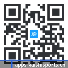系统版 iOS 二维码